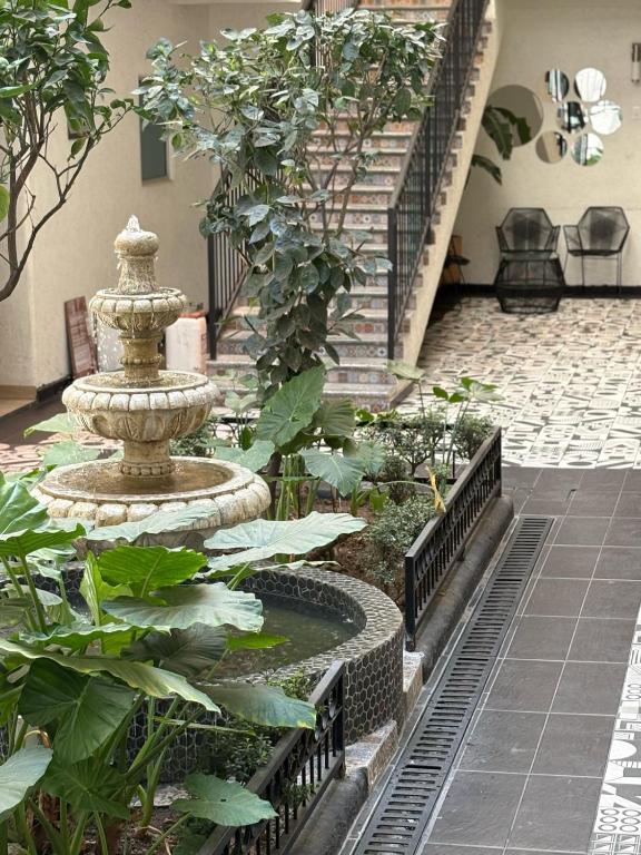 Zahrada ubytování Hotel Gallo