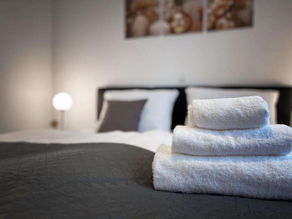 Apartments BINGO - Zagreb airport - 13