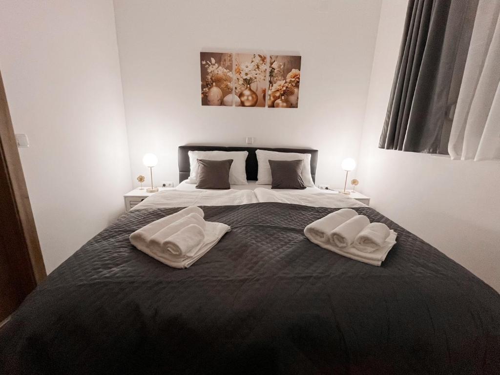 Apartments BINGO - Zagreb airport - 11