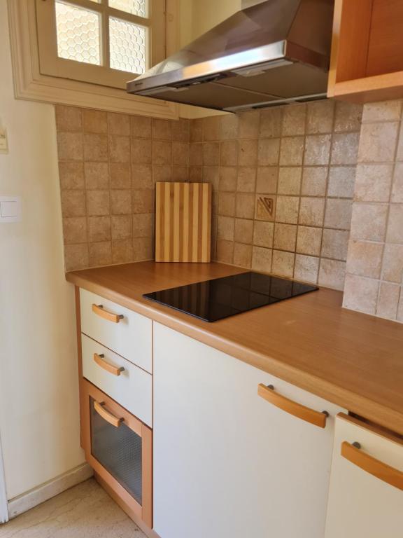 Kuchyň nebo kuchyňský kout v ubytování Paradise Sea View Pool Apartments Moraitika