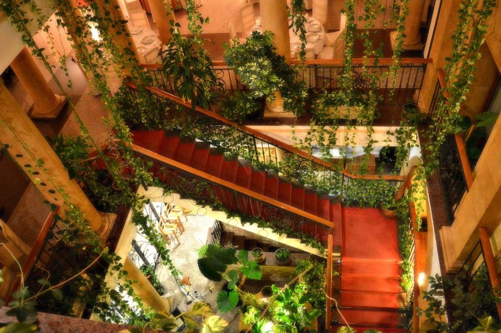an overhead view of a staircase with plants at Hospedería Bodas de Camacho in Munera