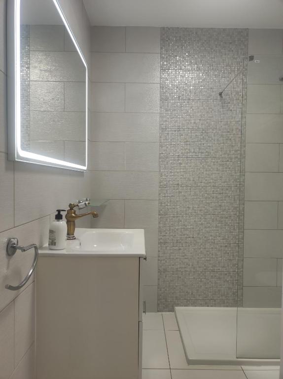 A bathroom at Penthouse Sabina mit Jacuzzi