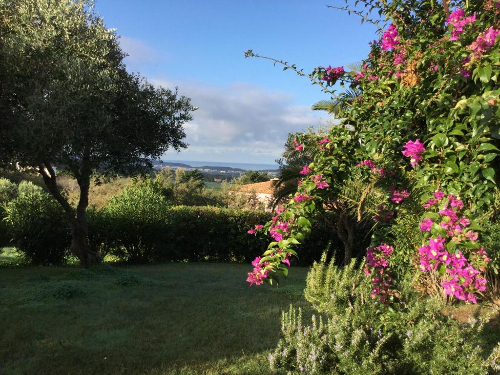 a garden with pink flowers and bushes at Villa Kuky in Santa Teresa Gallura