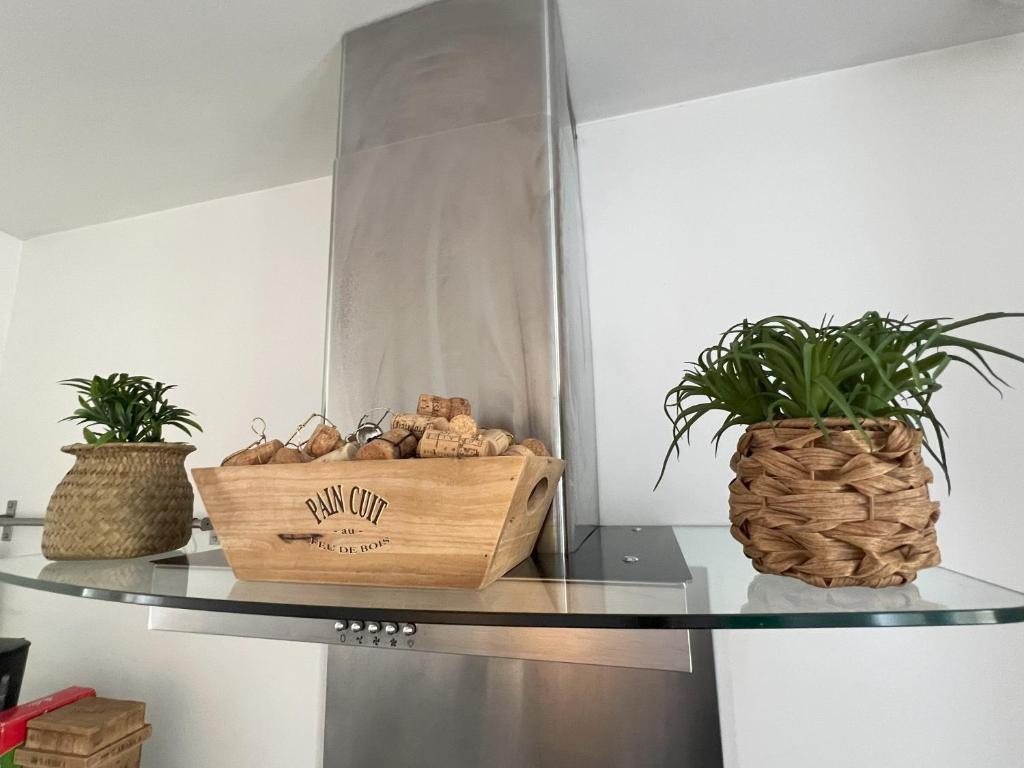 Gîte Petite Palette – photo 12