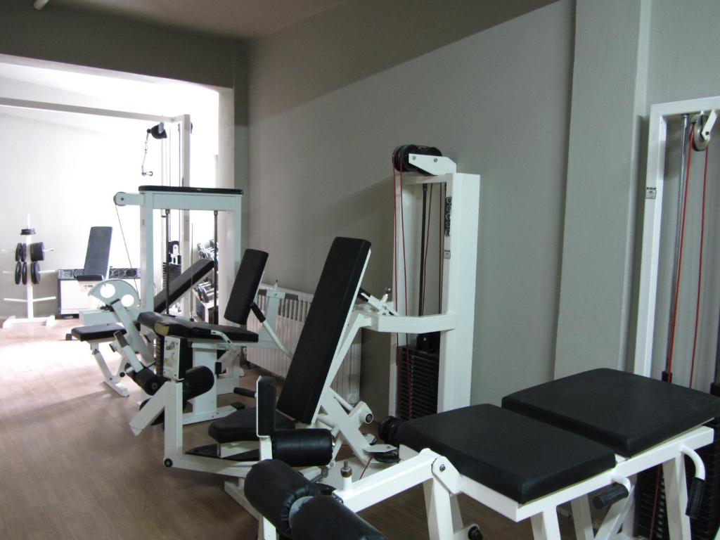 Fitness centrum a/nebo fitness zařízení v ubytování Manthos Mountain Resort & Spa