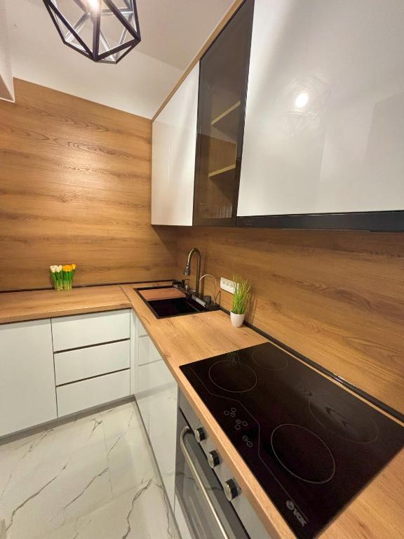 Ilidza Apartments - PEJTON RESIDENCE - Free Parking - Superior One-Bedroom Apartment With Balcony