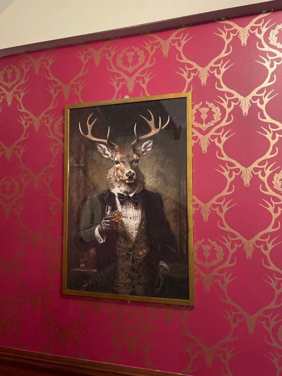 Fotografie z fotogalerie ubytování Stag and Barrel v destinaci Elgin