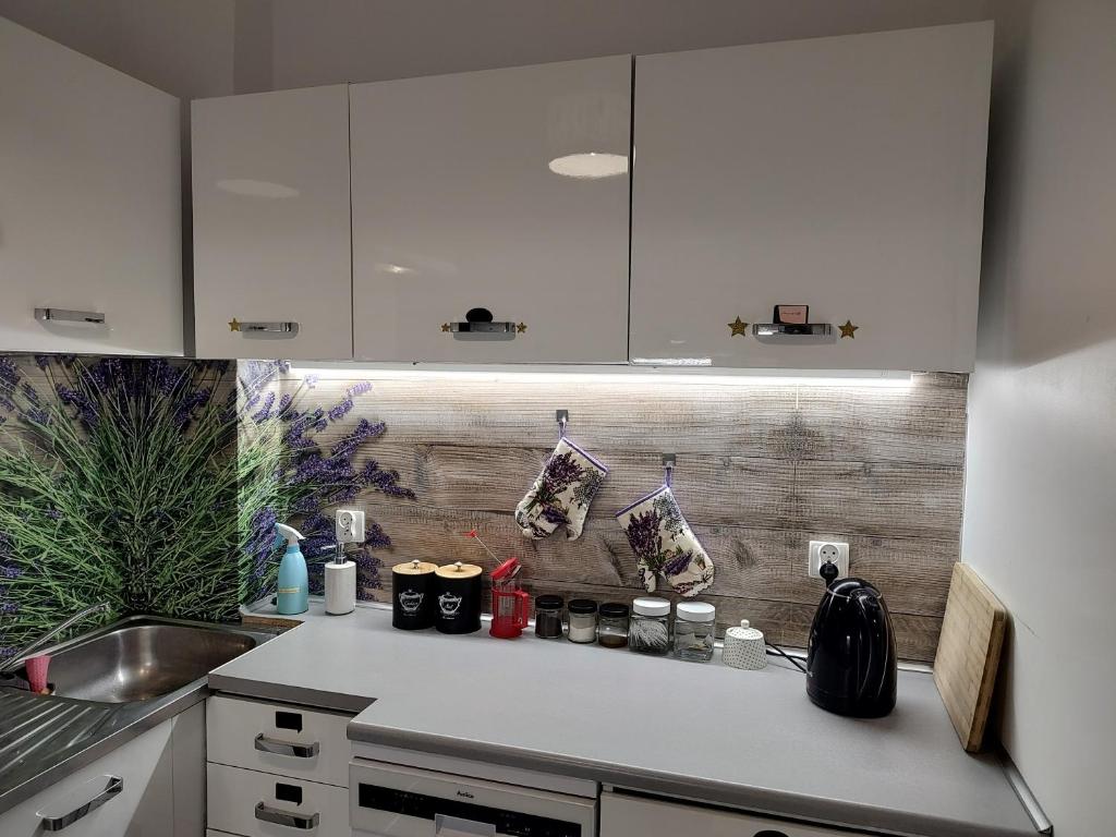 Kuchyň nebo kuchyňský kout v ubytování Magnolia Rooms Plus