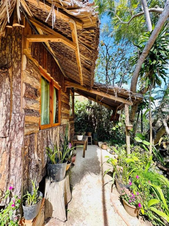 Zahrada ubytování Đà Lạt Củi Homestay
