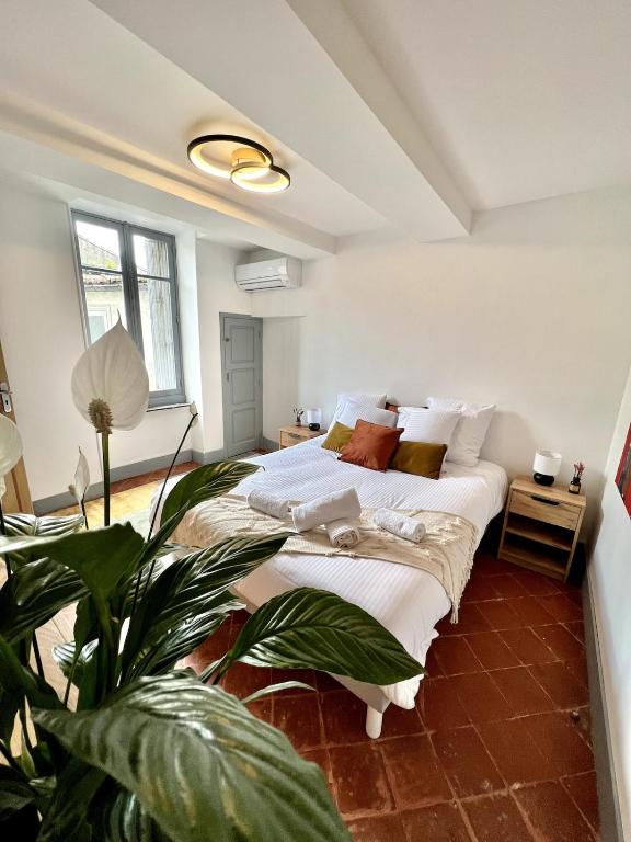 - une chambre avec deux lits et une plante en pot dans l'établissement The62, à Carcassonne