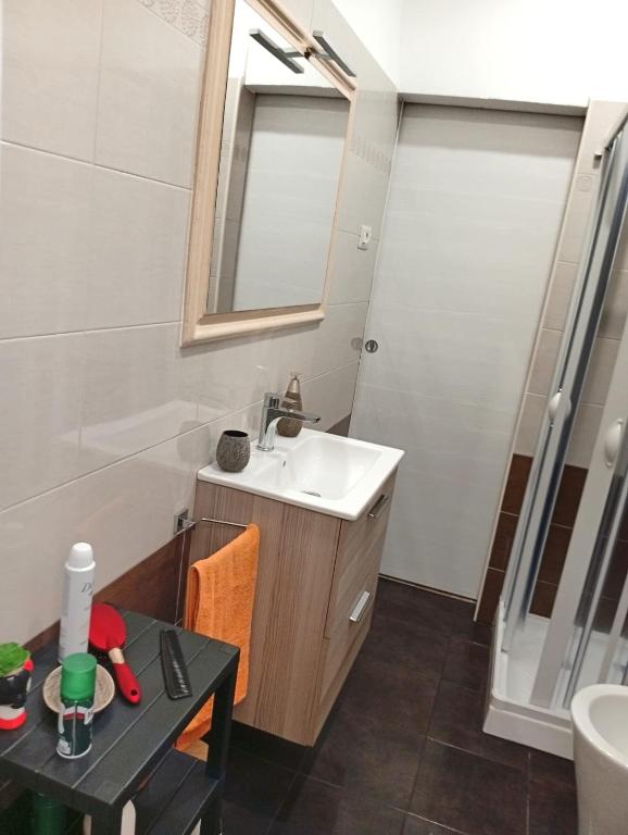Koupelna v ubytování Trieste apartment