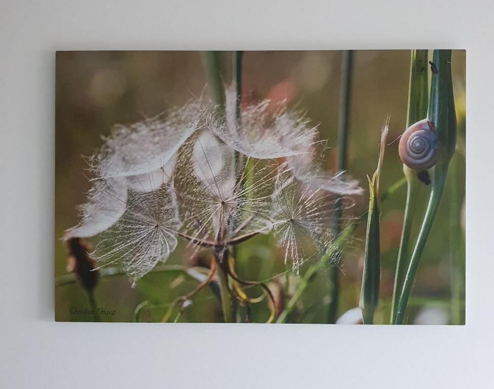 Fotografie z fotogalerie ubytování chambre d'hôtes de charme, un temps en forêt v destinaci Westhouse
