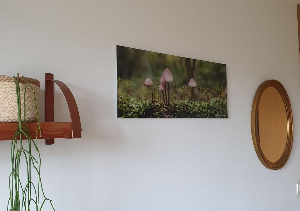 Fotografie z fotogalerie ubytování chambre d'hôtes de charme, un temps en forêt v destinaci Westhouse