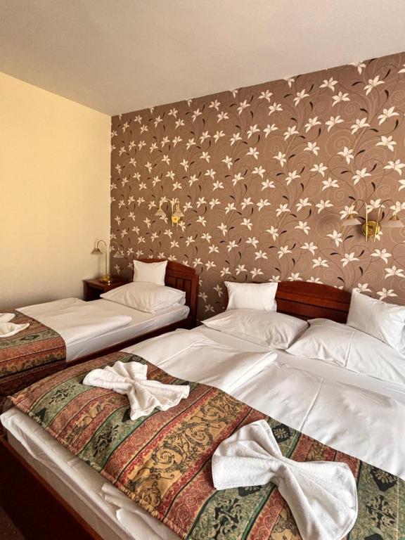 Hotel Erzsébet - Resim 20