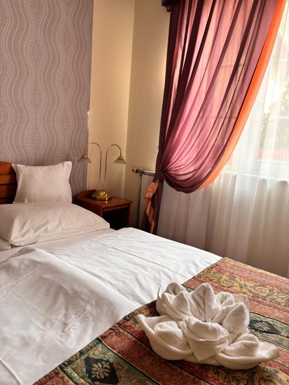 Hotel Erzsébet - Resim 14