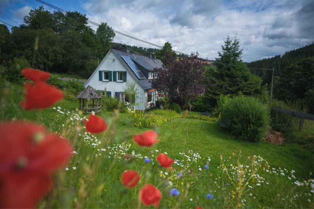 una casa con un campo de flores delante de ella en Bei Fuchses am Wisentpfad, en Bad Berleburg