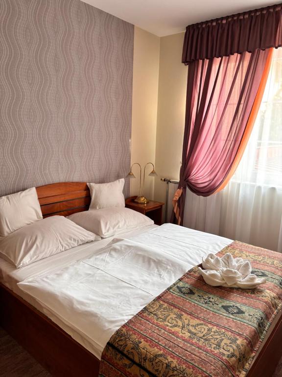 Hotel Erzsébet - Resim 15