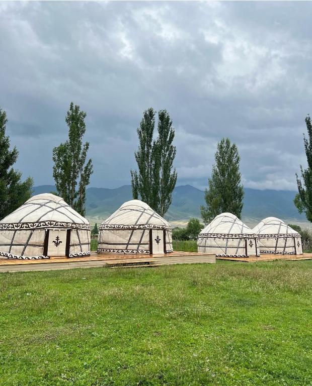 three domes in a field with trees in the background at Kilemche Boutique Hotel & Yurt Camp in Bagysh