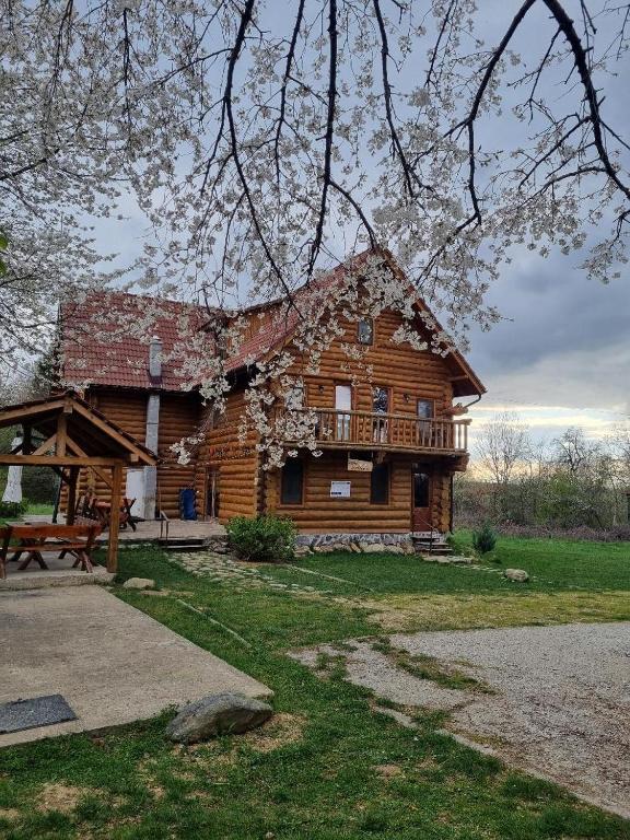 a log cabin with a picnic table in front of it at Valea Vistisoarei in Vistisoara