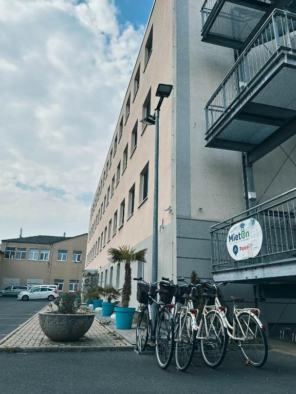 Jízda na kole v ubytování ORCA Hotel am Elbschloss nebo okolí