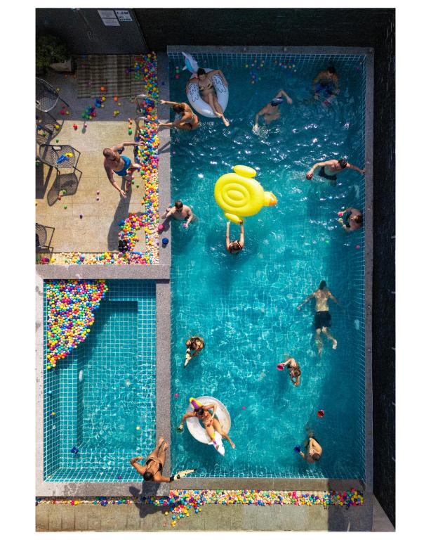 a group of people swimming in a swimming pool at EBS Hostel Phuket, Kata Beach in Karon Beach