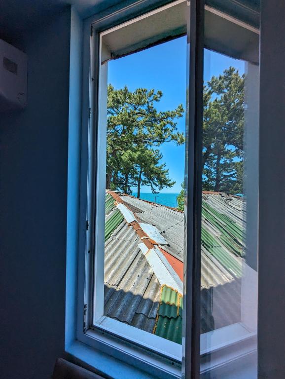 Příroda nedaleko hotelu