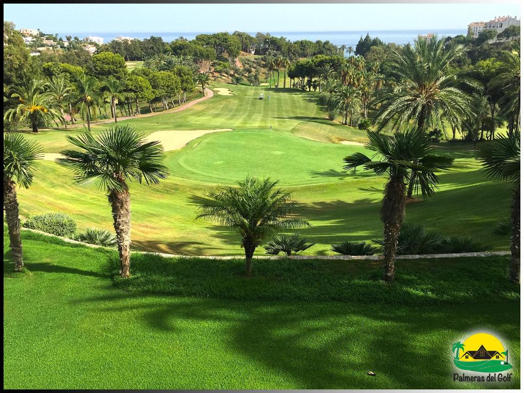 ベナルマデナにあるPalmeras del Golf - Torrequebradaのヤシの木が茂るゴルフコースの景色を望めます。