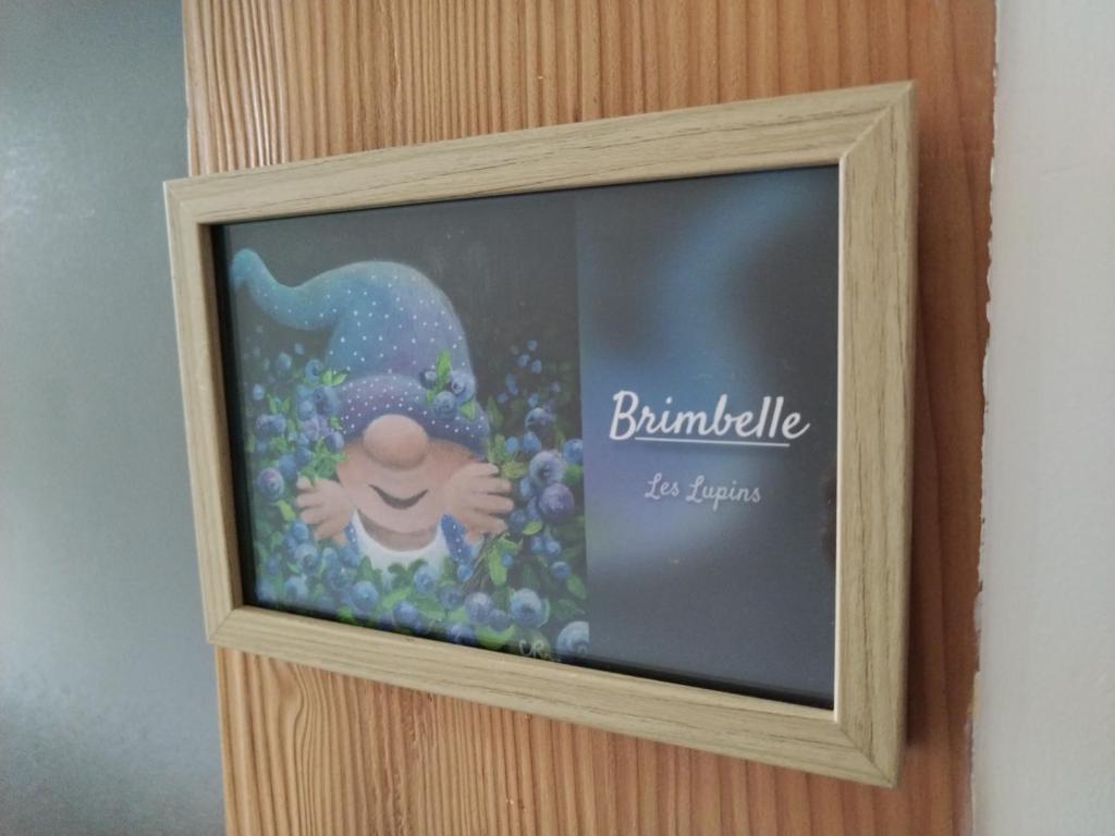 Chambre d'hôtes LES BRIMBELLES - 11