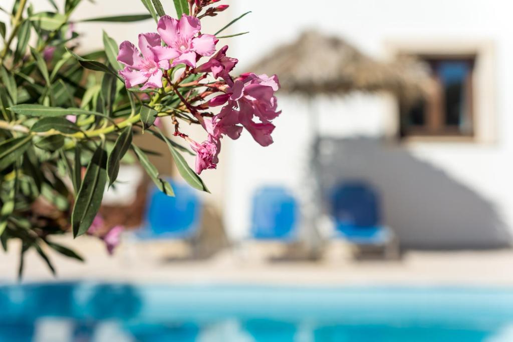 Bazén v ubytovaní Crete Essence Villas - Lagkada alebo v jeho blízkosti