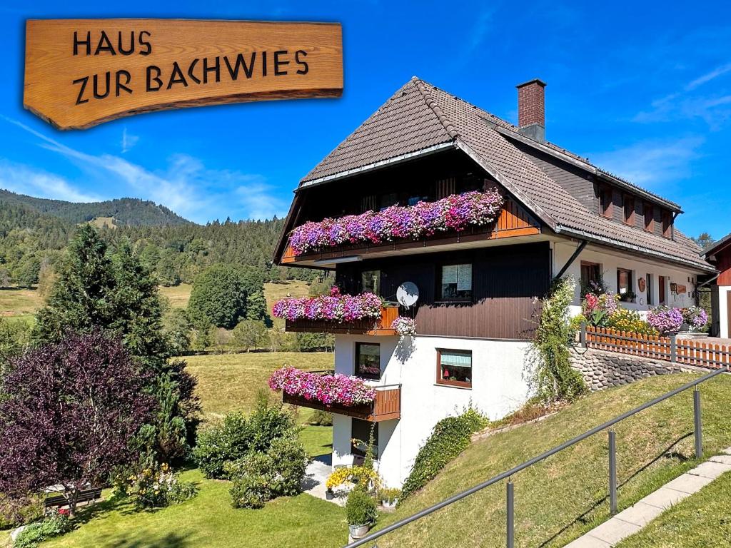メンツェンシュヴァントにあるAufblühen in Menzenschwandの花の家