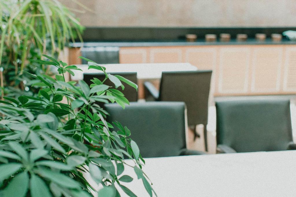 Posezení v ubytování Nüzhet Hotel