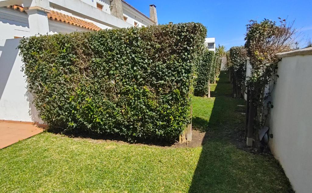 Vonkajšia záhrada v ubytovaní Casa Poniente en playa Fuente del Gallo