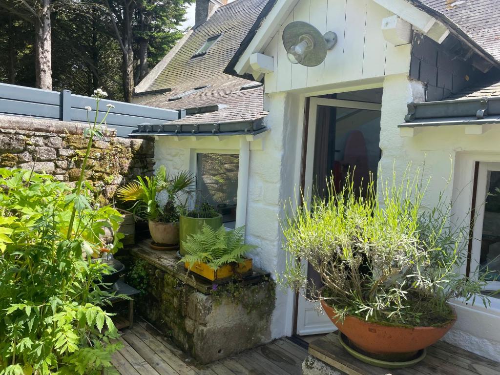 un jardin avec des plantes en pot en face d'une maison dans l'établissement Le Jardin Secret, à Guérande