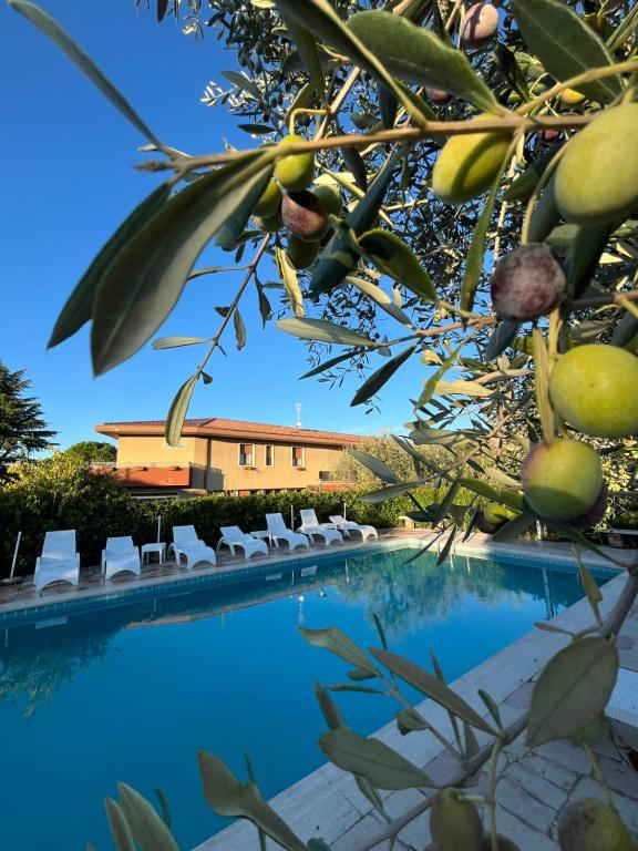 Bazén v ubytování Hotel Lory nebo v jeho okolí