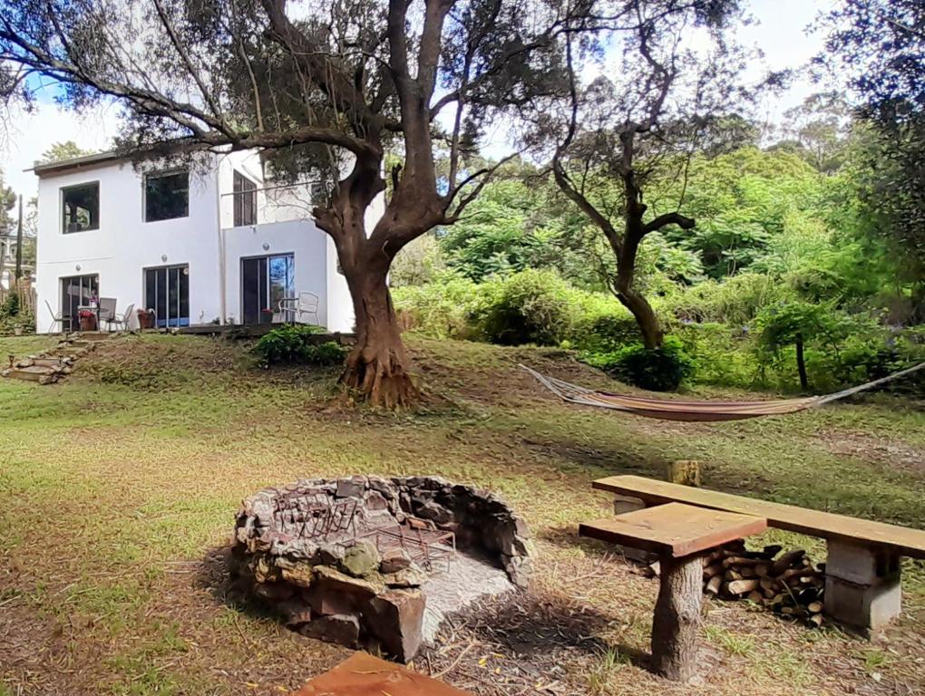 Fotografie z fotogalerie ubytování Casa de Olivos v destinaci Punta del Este