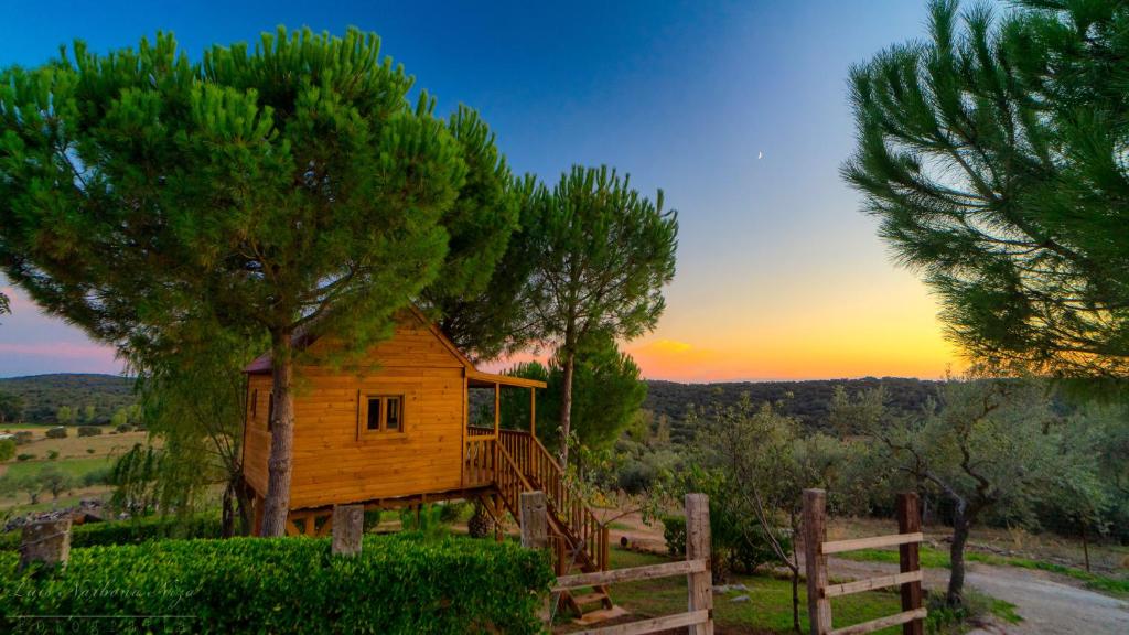 una cabina in legno con recinzione e albero di Cortijo señora de las Angustias 2 ad Alanís