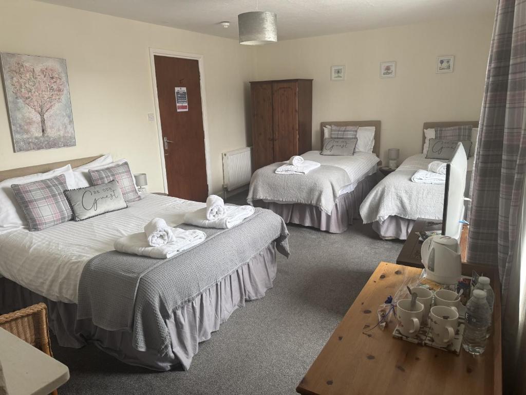 
Quadruple Room with Shower
