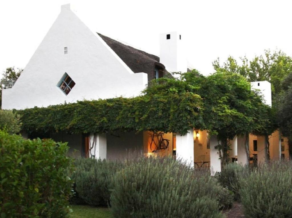 a white house with ivy on the side of it at Lavender’s Blue in Stanford