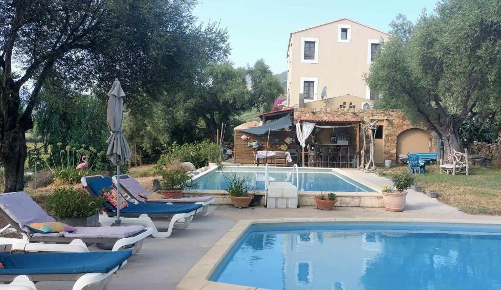 une piscine avec des chaises longues et une maison dans l'établissement 1st floor apartment in 18th century character house, à Calvi