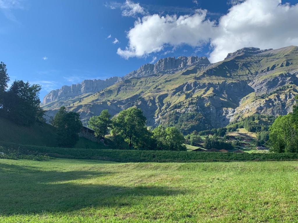 un champ vert avec une montagne en arrière-plan dans l'établissement Chalet Le Char, à La Giettaz