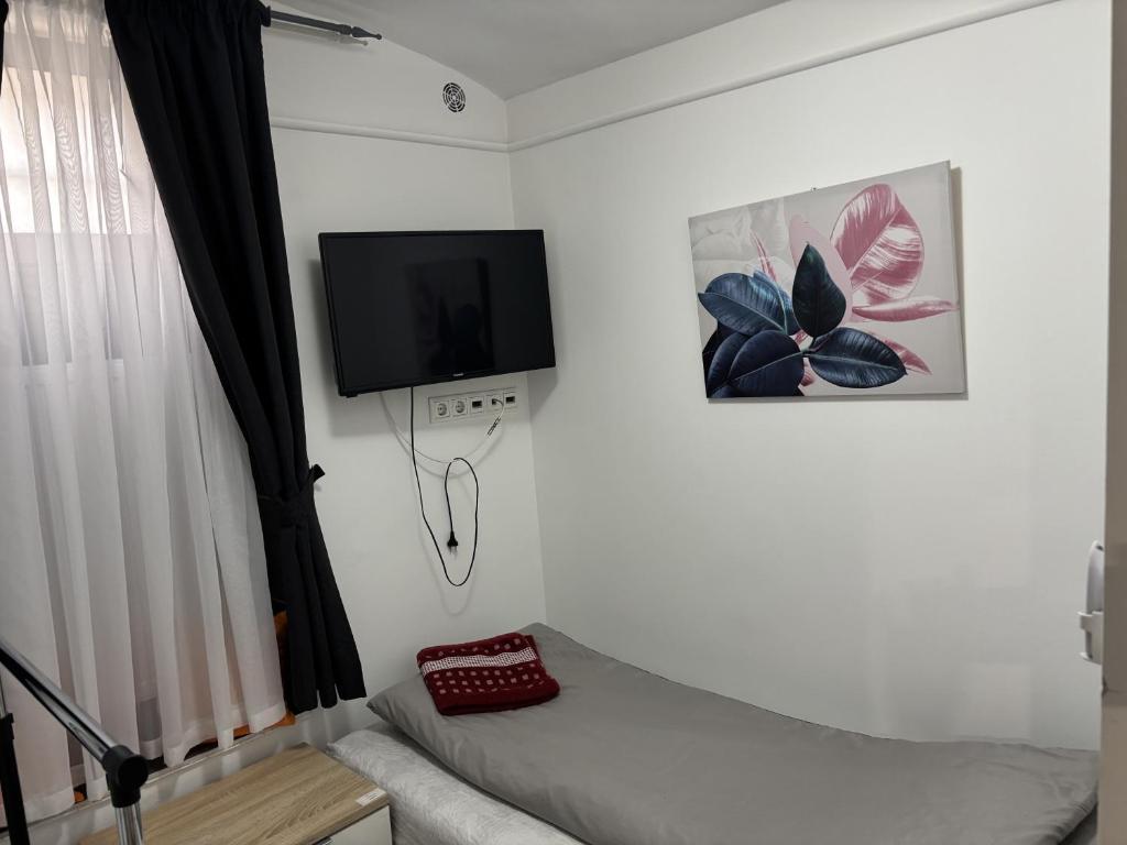 TV a/nebo společenská místnost v ubytování Centrum Apartman