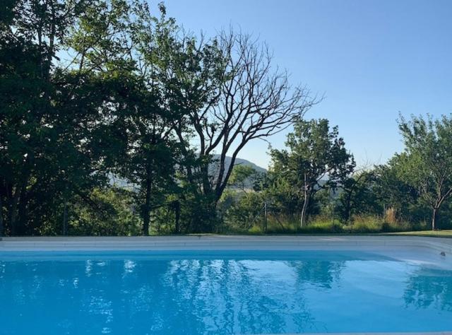 un grand étang bleu avec des arbres en arrière-plan dans l'établissement Le Créolia, à Saint-Vincent-de-Barrès