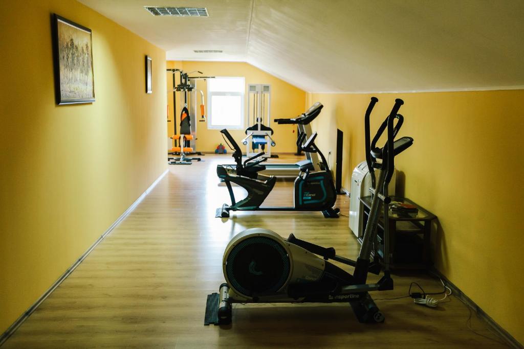 Fitness centrum a/nebo fitness zařízení v ubytování Hotel Dobsi