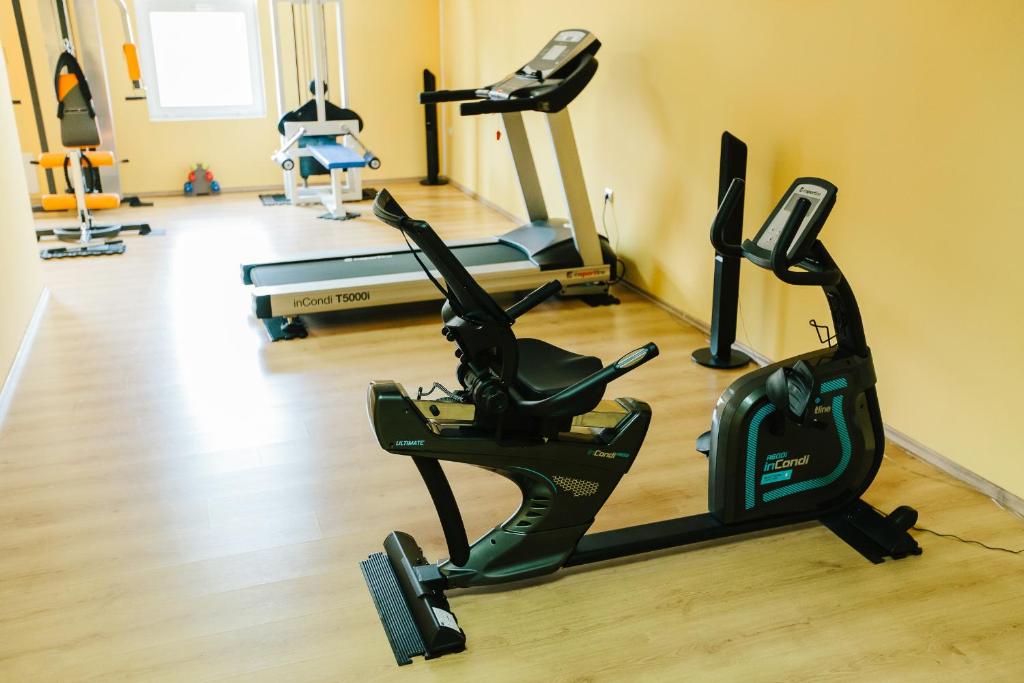 Fitness centrum a/nebo fitness zařízení v ubytování Hotel Dobsi