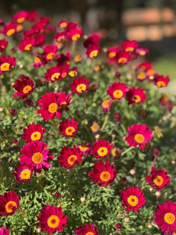 Hero's Garden Relais - Resim 19