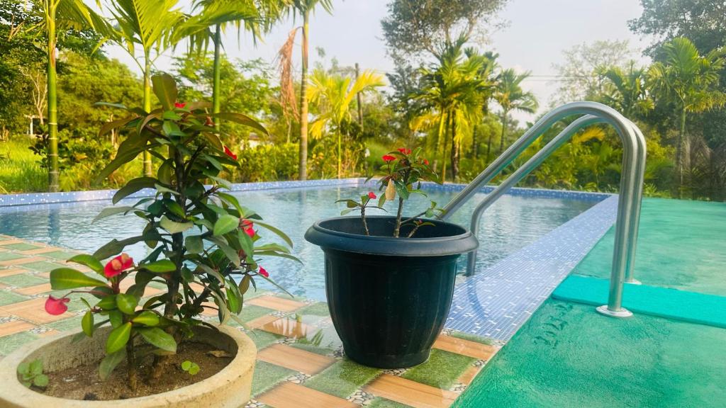 Dew Ashi Homestay - 14