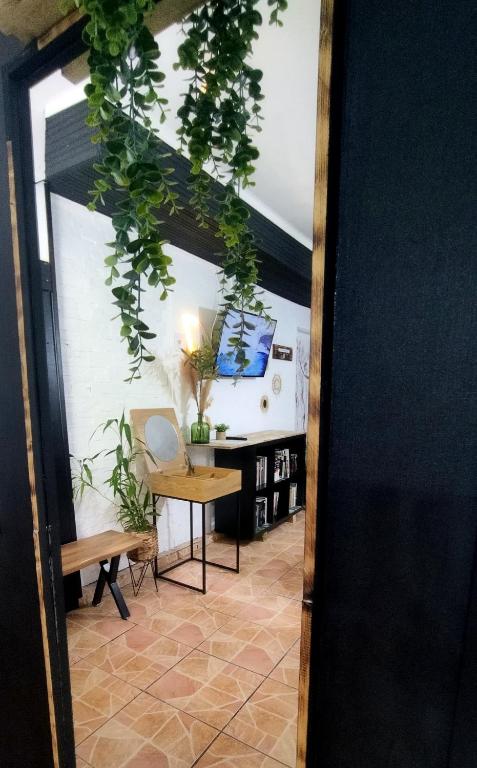 Fotografie z fotogalerie ubytování The Secret Motel - L'héritage v destinaci Salazie