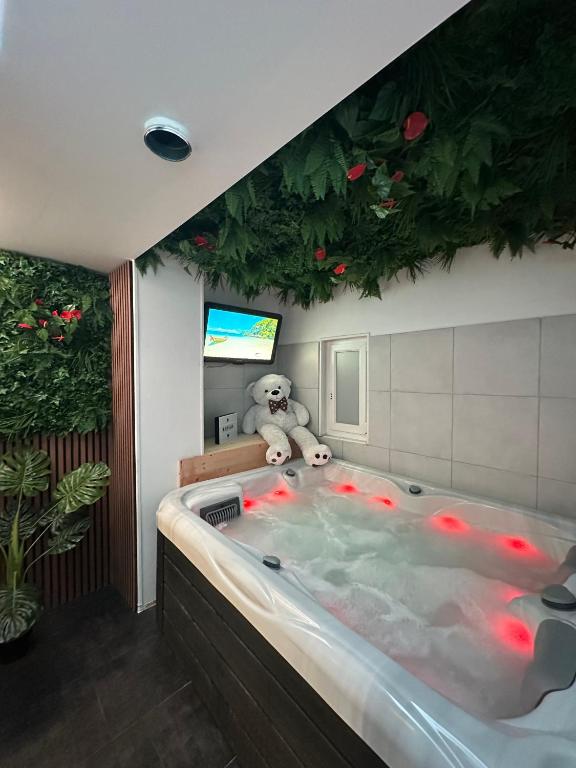 - un ours en peluche assis dans une baignoire dans une pièce dans l'établissement Évasion Spa Jacuzzi Sauna, à Eckbolsheim