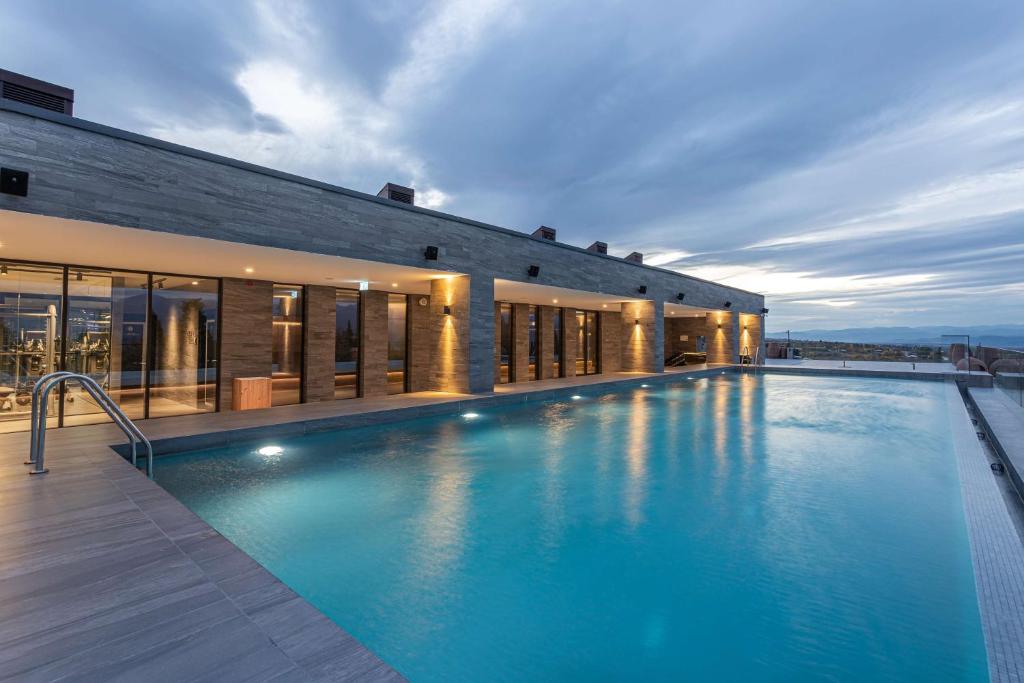 a large swimming pool on top of a building at Tsinandali Estate, A Radisson Collection Hotel in Tsinandali