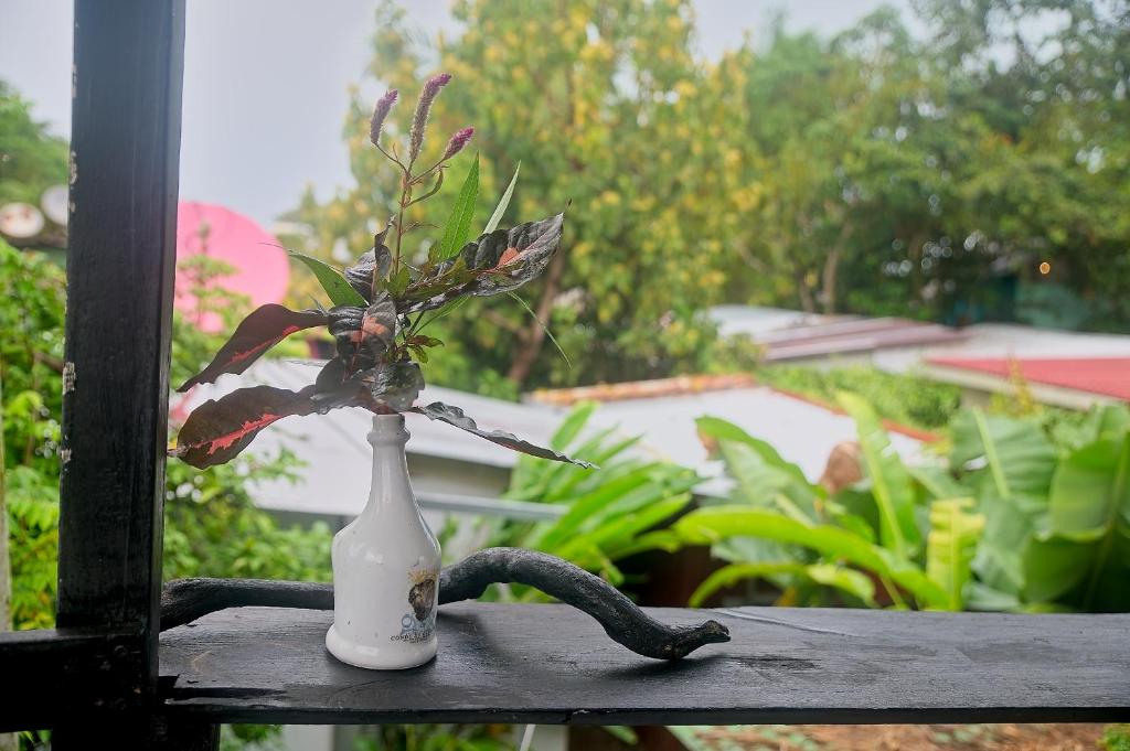 Zahrada ubytování Mar Caribe PV
